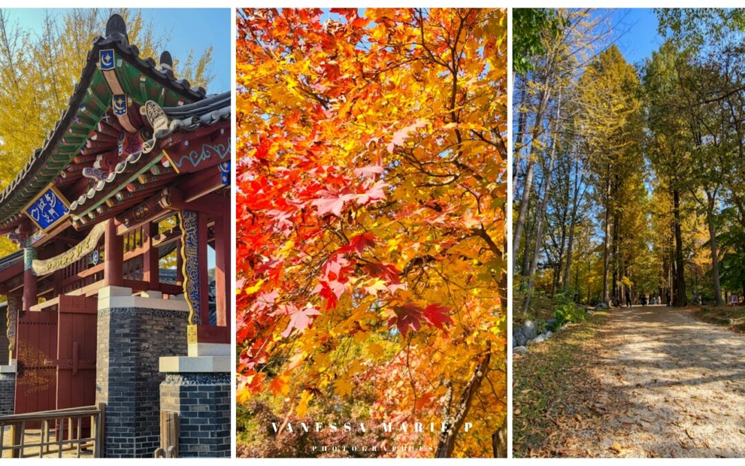 Nami Island : Tyrolienne, Saisons, Itinéraire. Le seul guide dont vous aurez besoin depuis Séoul.