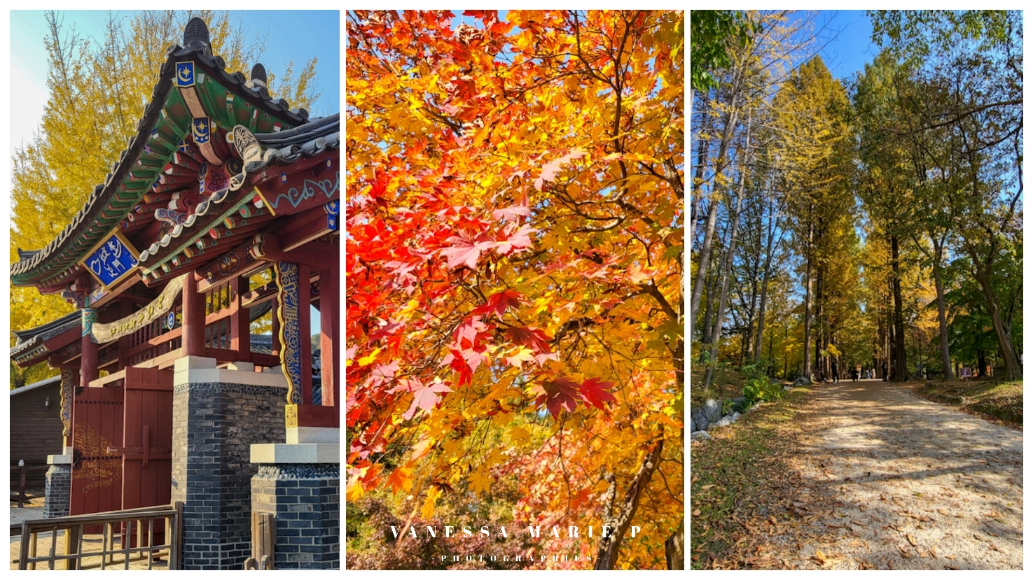Nami-island-autumn-horangout