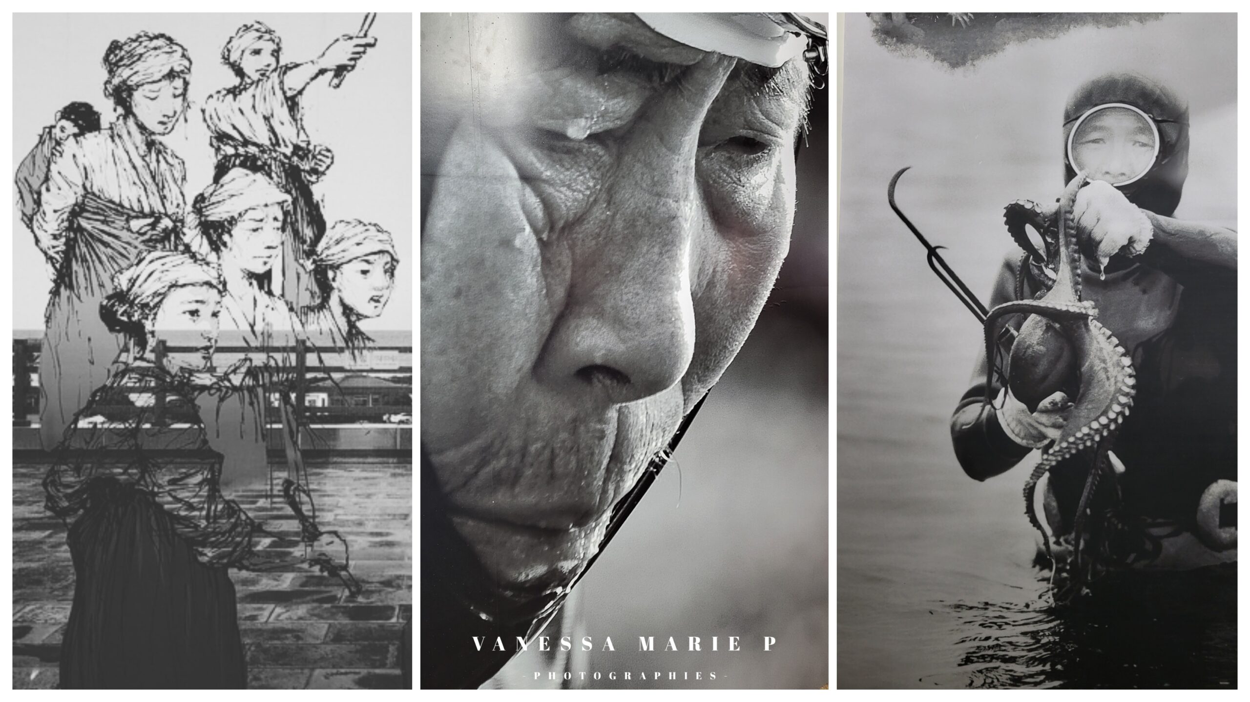 que faire à jeju, haenyeo , horangout