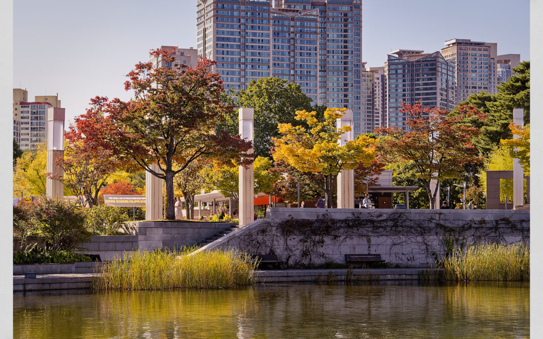 Vivre en Corée du Sud : Le Guide Ultime de l&rsquo;Expat (Budget, Logement, Culture et Pièges à Éviter)