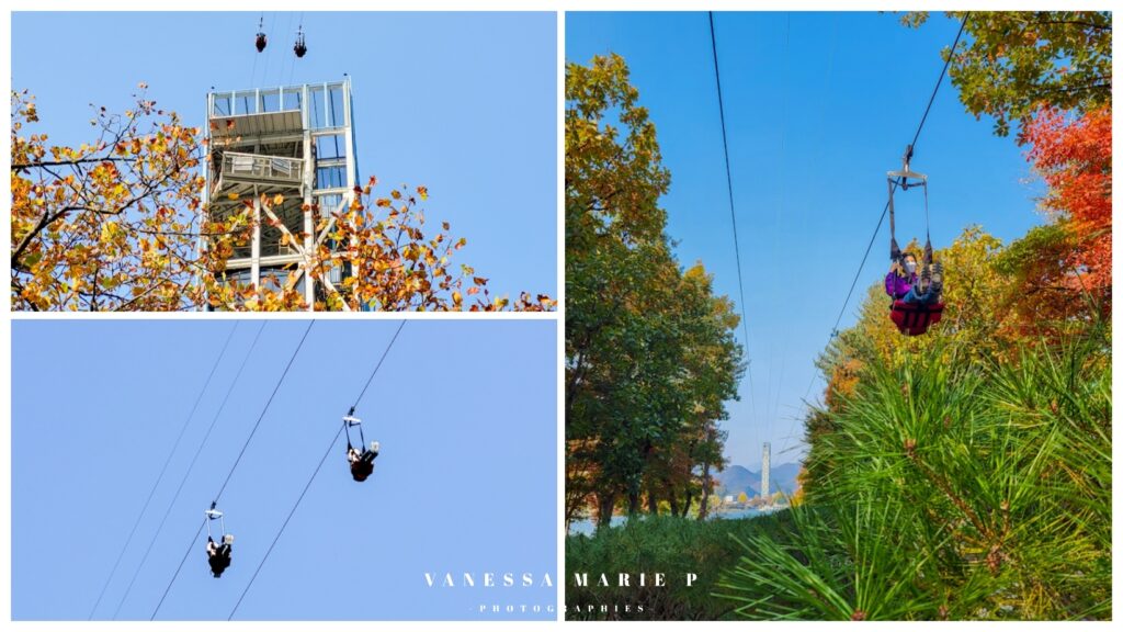 nami island tirolienne